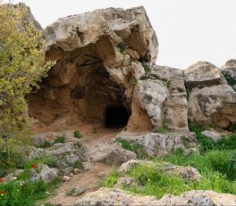 paphos kirándulás